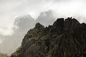 Images Dated 6th June 2012: Rwenzori Mountains, Uganda