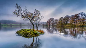 Beautiful Landscapes by George Johnson Gallery: Rydal Swan