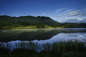 Images Dated 25th June 2016: Rydal Water at dawn, Cumbria, UK