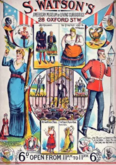 Carnival Prints: S. Watson's American Museum of Living Curiosities