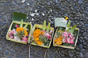 Sacrificial offerings, petals in the street, Ubud, Bali, Indonesia