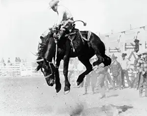 Bronco Prints: Saddle Bronc Riding