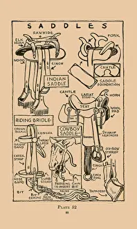 Skills Prints: Saddles
