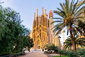 Sagrada Familia basilica surrounded by palm trees on a sunny morning