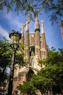 Antonio Gaudi Gallery: The Sagrada Familia Behind The Trees in Barcelona