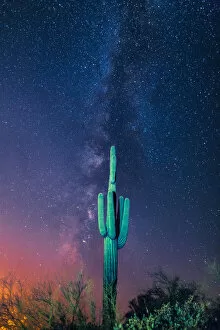 Images Dated 29th June 2017: saguaro cactus and the milky way