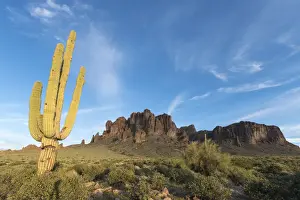Saguaro (Carnegiea gigantea) in foreground of Lost Dutchman Mine State Park, Superstition Mountains, Arizona, USA
