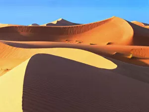 Sahara Desert Landscapes Gallery: Sahara Sculptures