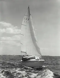 Mast Prints: Sailboat in ocean