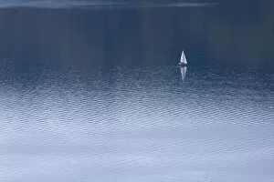 Sailboat on rippled water, Lake Constance, Baden-Wuerttemberg, Germany, Europe