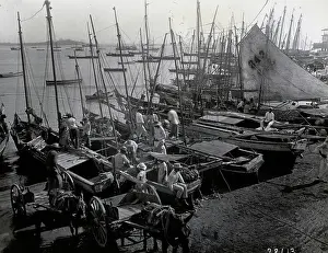 Panama Prints: Sailboats & Mule Carts At Boat Market