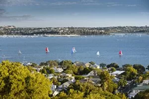 Images Dated 13th March 2013: Sailing boats at Waitemata Harbour, Auckland, North Island, New Zealand
