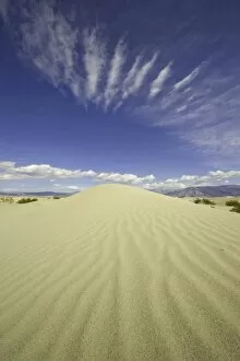 Death Valley National Park Collection: Saline Valley sand dunes, CA
