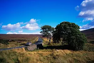 Sally Gap, Co Wicklow, Ireland