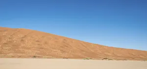 Panorama Collection: Salt and clay pan, Dead Pan, Sossusvlei, UNESCO World Heritage Site, Namib Desert, Namibia