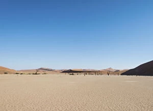 Dead Collection: Salt and clay pan, Deadvlei, Sossusvlei, Namib Desert, Namibia