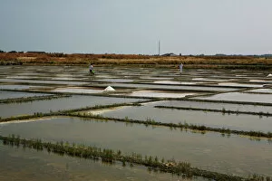 Salt farm, Noirmoutier-en-l?Ile, Ile de Noirmoutier, Pays de la Loire, France