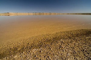 Images Dated 2008 June: 