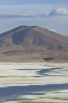 Images Dated 30th October 2012: Salt lake Salar del Huasco, Pica, Tarapaca Region, Chile