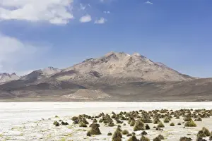 Salt Prints: Salt lake Salar de Surire, partly mine and partly nature reserve