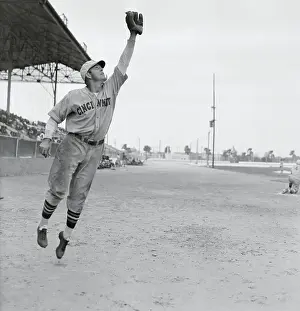Tampa Prints: Sammy Byrd Reaching for Catch