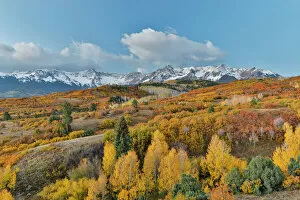 Images Dated 5th October 2017: San Juan Mountains from Dallas Divide in Autumn light, Colorado, USA