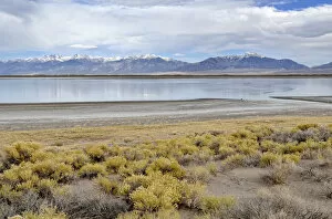 Images Dated 4th November 2011: San Luis Lake, San Luis Lakes State Park, with Sangre de Christo Mountains at the rear, Mosca