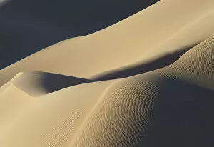 Oman Gallery: detail of sand dune