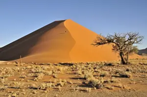 Afternoon Prints: Sand dune in the afternoon light near Sossusvlei