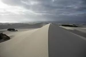 Calm Gallery: Sand Dunes Cast in Shadow Under a Dramatic Stormy Sky. Arniston, Western Cape Province, South Africa