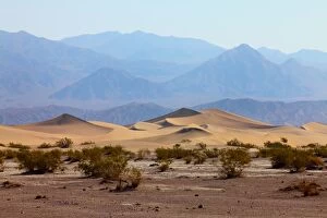 Images Dated 24th May 2011: Sand dunes in Death Valley