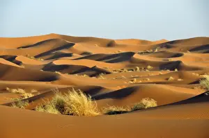 Arabian Prints: Sand dunes, Erg Chebbi desert, Morocco, Africa