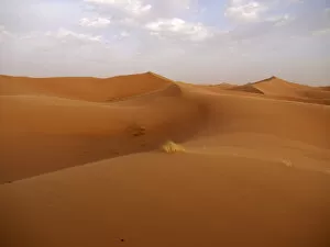 Sand dunes of the Erg Chebbi Desert, near Merzouga, Morocco, North Africa, Africa