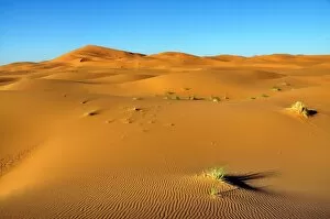 Sahara Desert Landscapes Gallery: Sand dunes, Erg Chebbi, Morocco, Africa