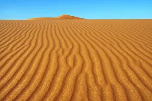 Sahara Desert Landscapes Gallery: Sand dunes, Erg Chebbi, Morocco, Africa