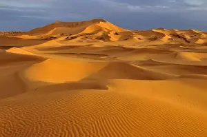 Sand dunes in evening light, Sahara, Erg Tibaradine, Immidir or Mouydir, Sahara, Tamanrasset Province, Algeria