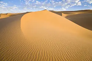 Markings Prints: Sand dunes in the Libyan Desert, Sahara, Libya, North Africa, Africa