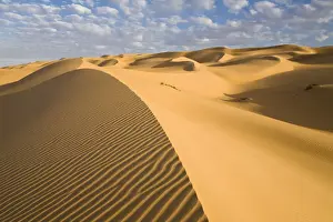 Markings Prints: Sand dunes in the Libyan Desert, Sahara, Libya, North Africa, Africa