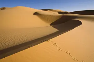 Sanddunes Prints: Sand dunes in the Libyan desert, Sahara, Libya, North Africa, Africa