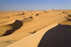Sand Dunes Prints: Sand dunes in the Libyan Desert, Sahara, Libya, North Africa, Africa