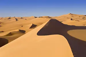 Sand Dunes Prints: Sand dunes in the Libyan Desert, Sahara, Libya, North Africa, Africa