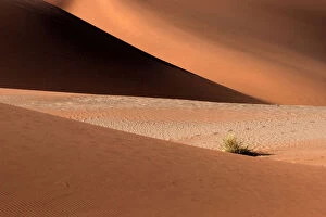 Images Dated 19th May 2007: Sand dunes, Namib Desert, Sossusvlei, Namibia