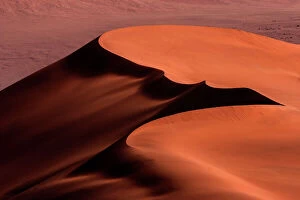 Barren Collection: Sand dunes, Namib Desert, Sossusvlei, Namibia