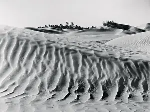 Saudi Arabia Prints: Sand Dunes with Oasis