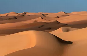Dune Gallery: Sand Dunes, Sahara, Erg Ubari, Lybia