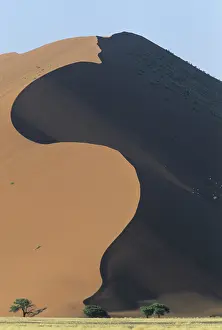 Sand dunes, Sossuvlei, Namib Desert