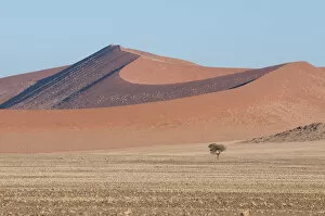 Images Dated 12th August 2014: Sand dunes in Sossuvlei. Namib Desert, Namibia