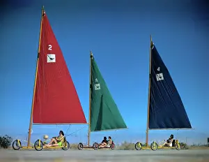 Three Sand Gliders on Road