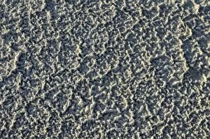 Images Dated 23rd October 2011: Sand pattern with salt deposits, bank of the Great Salt Lake, Salt Lake City, Utah, USA