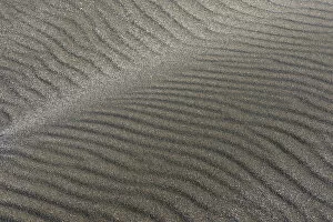Images Dated 9th June 2013: Sand patterns, Denmark
